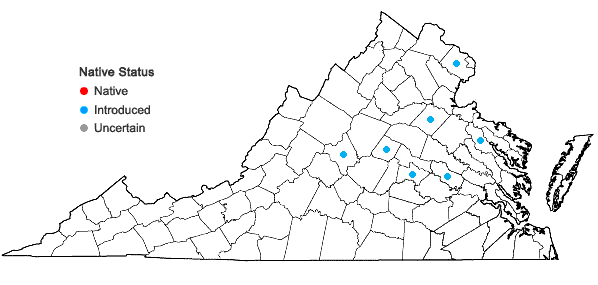 Locations ofPseudosasa japonica (Sieb. & Zucc. ex Steud.) Makino ex Nakai in Virginia