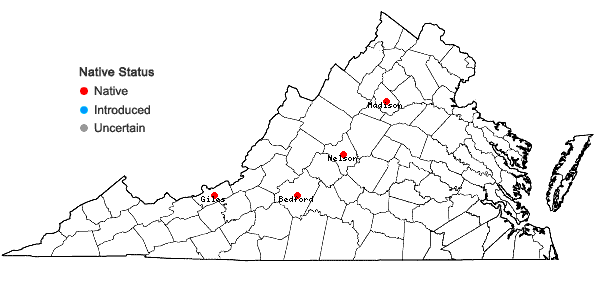 Locations ofPterigynandrum filiforme Hedwig in Virginia