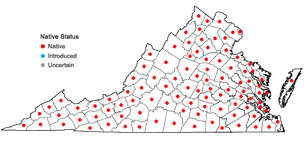 Locations ofRanunculus abortivus L. in Virginia