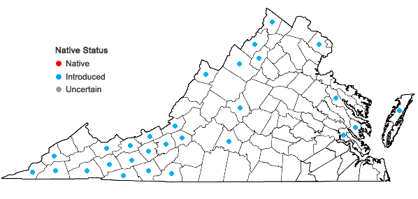 Locations ofRanunculus acris L. in Virginia
