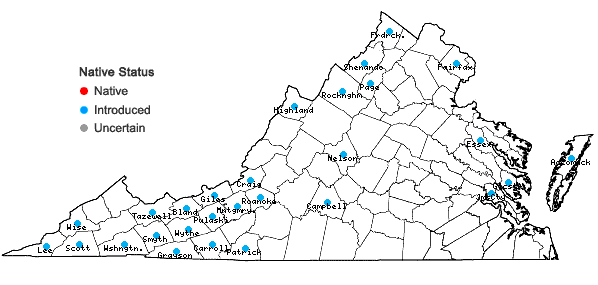 Locations ofRanunculus acris L. in Virginia
