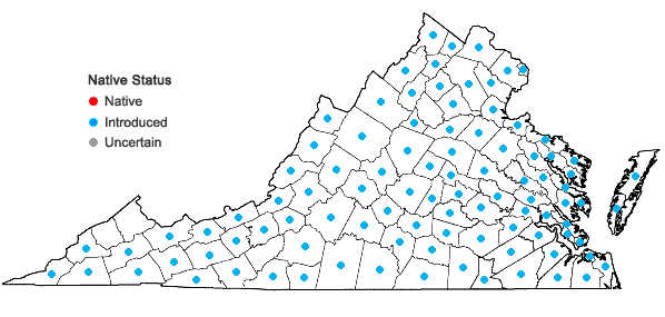 Locations ofRanunculus bulbosus L. in Virginia