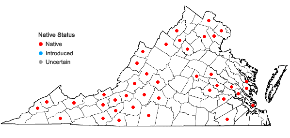 Locations ofRanunculus caricetorum Greene in Virginia