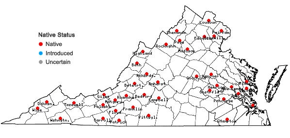 Locations ofRanunculus caricetorum Greene in Virginia