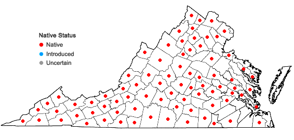 Locations ofRanunculus hispidus Michx. in Virginia