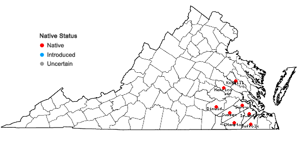 Locations ofRanunculus laxicaulis (Torr. & Gray) Darby in Virginia