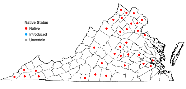 Locations ofRanunculus micranthus Nutt. in Virginia