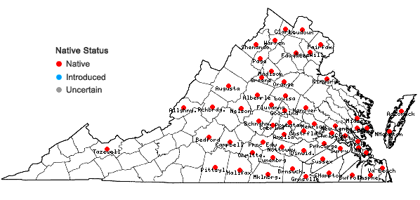 Locations ofRanunculus pusillus Poir. in Virginia