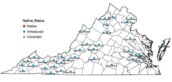 Locations ofRanunculus repens L. in Virginia