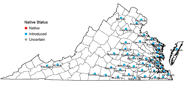 Locations ofRanunculus sardous Crantz in Virginia