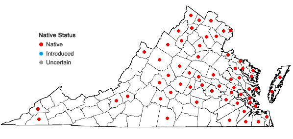 Locations ofRanunculus sceleratus L. var. sceleratus in Virginia