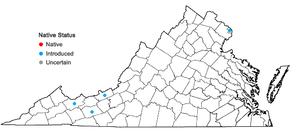 Locations ofRhamnus cathartica L. in Virginia
