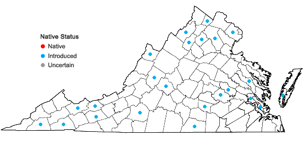 Locations ofRhamphospermum nigrum (L.) Al-Shehbaz in Virginia