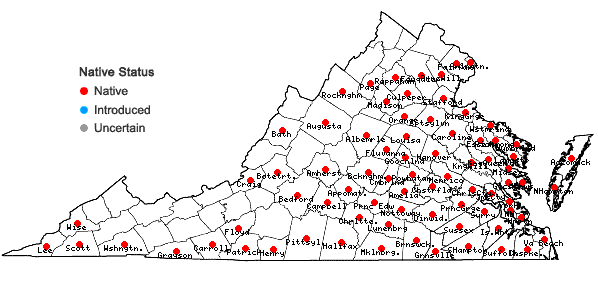 Locations ofRhexia virginica L. in Virginia