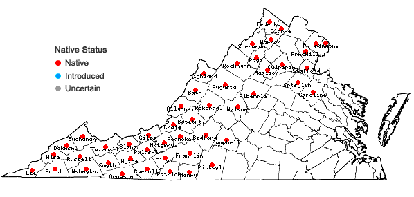 Locations ofRhododendron maximum L. in Virginia