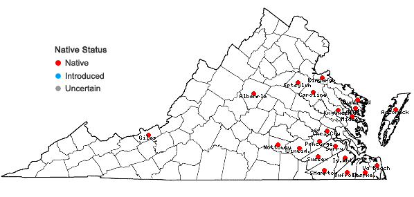 Locations ofRhododendron viscosum (L.) Torr. var. serrulatum (Small) H.E. Ahles in Virginia