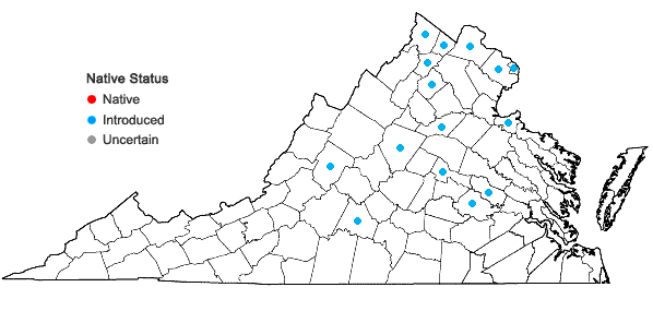 Locations ofRhodotypos scandens (Thunb.) Makino in Virginia