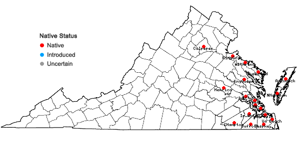 Locations ofRhus copallinum L. var. copallinum in Virginia