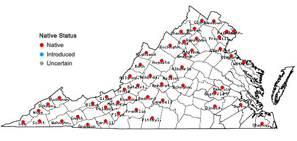 Locations ofRhus typhina L. in Virginia