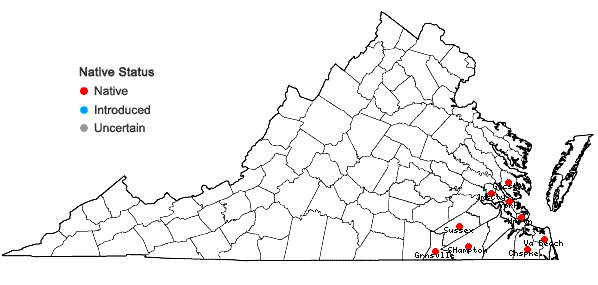 Locations ofRhynchospora caduca Elliott in Virginia