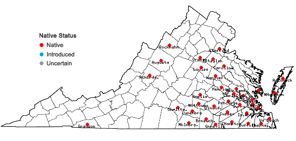 Locations ofRhynchospora chalarocephala Fernald and Gale in Virginia