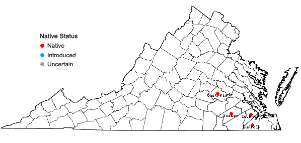 Locations ofRhynchospora distans (Michx.) Vahl. in Virginia