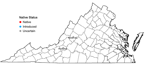 Locations ofRobinia viscosa Vent. in Virginia