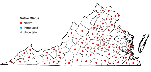 Locations ofRorippa palustris  (L.) Besser ssp. palustris in Virginia