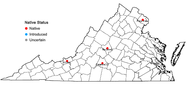 Locations ofRosa carolina L. ssp. subserrulata (Rydb.) W.H. Lewis in Virginia