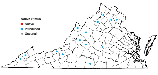 Locations ofRosa rubiginosa L. var. rubiginosa in Virginia