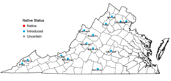 Locations ofRosa rubiginosa L. var. rubiginosa in Virginia