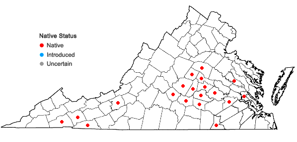 Locations ofRudbeckia laciniata L. var. digitata (Mill.) Fiori in Virginia
