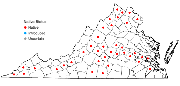 Locations ofRuellia strepens L. in Virginia