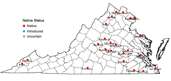 Locations ofRumex altissimus Wood in Virginia