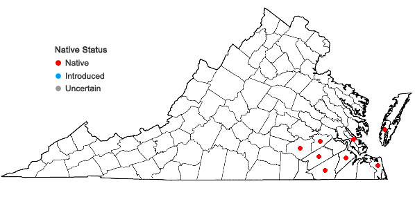 Locations ofSabatia brachiata Ell. in Virginia