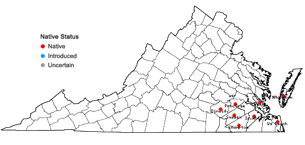 Locations ofSabatia brachiata Ell. in Virginia