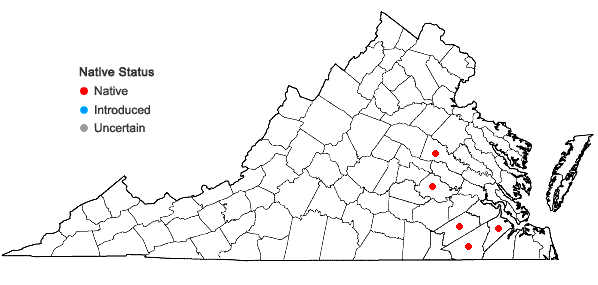 Locations ofSabatia difformis (L.) Druce in Virginia