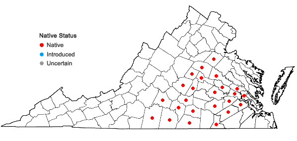 Locations ofSabatia quadrangula Wilbur in Virginia