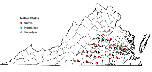 Locations ofSabatia quadrangula Wilbur in Virginia
