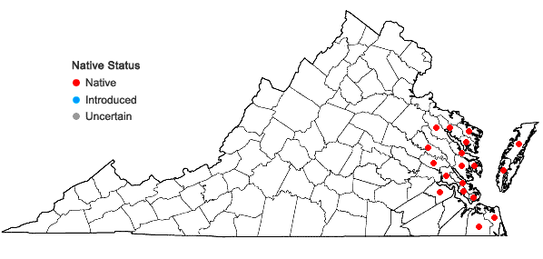 Locations ofSabatia stellaris Pursh in Virginia