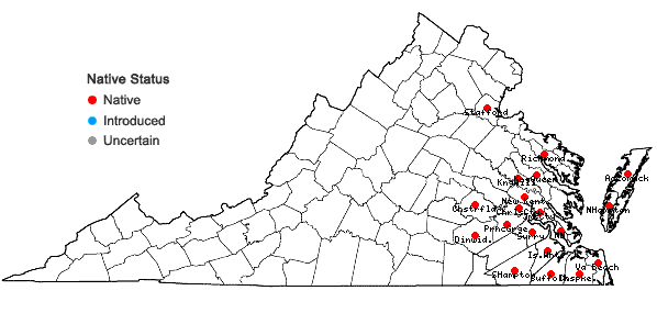 Locations ofSacciolepis striata (L.) Nash in Virginia