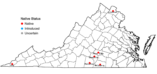Locations ofSagittaria calycina Engelm. in Virginia