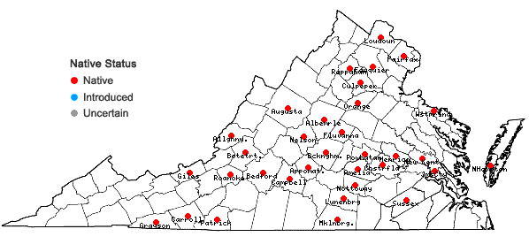 Locations ofSagittaria latifolia Willd. var. pubescens (Muhl. ex Nutt.) J.G. Smith in Virginia