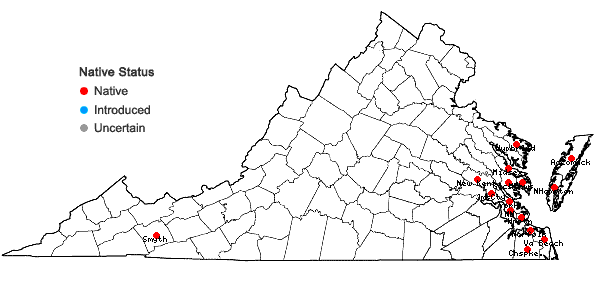Locations ofSalicornia virginica L. in Virginia