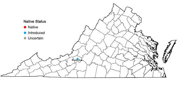 Locations ofSalix lucida Muhl. in Virginia