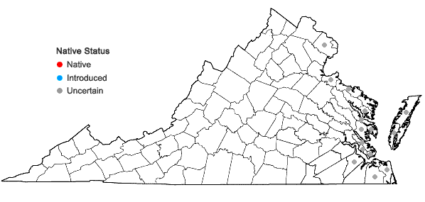 Locations ofSalsola kali L. in Virginia