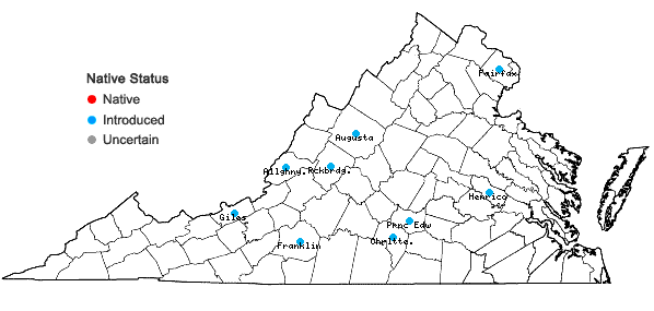 Locations ofSalsola tragus L. in Virginia