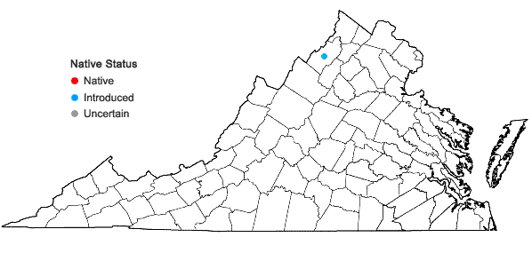 Locations ofSalvinia molesta D.S. Mitchell in Virginia