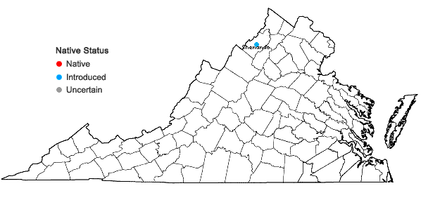 Locations ofSalvinia molesta D.S. Mitchell in Virginia
