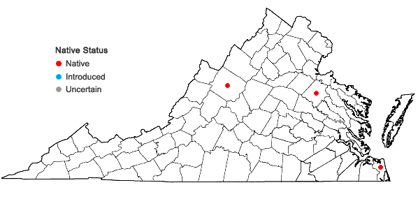 Locations ofSchoenoplectus subterminalis (Torrey) Sojak in Virginia